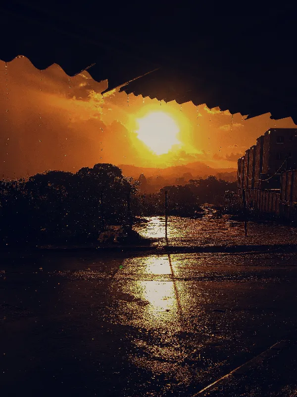 Golden Sunset After the Rain