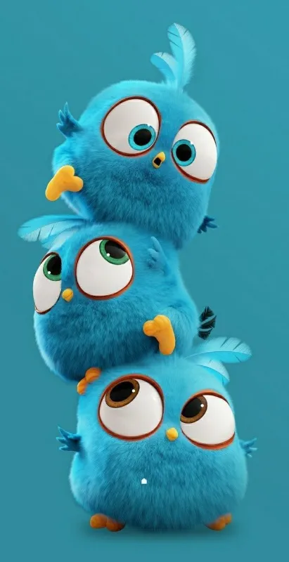 Cute angry bird wallpapers