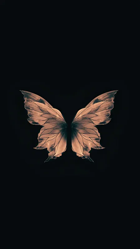 Butterfly artwork Quad HD mobile wallpaper 🦋