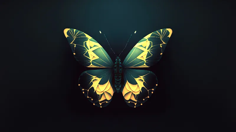 Butterfly 4k desktop wallpaper