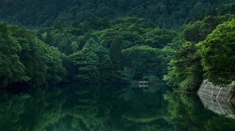 Lake in forest 4k wallpaper