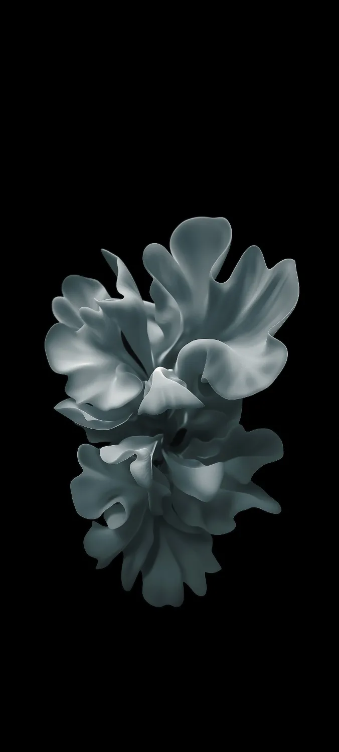 Elegant white flower dark wallpaper