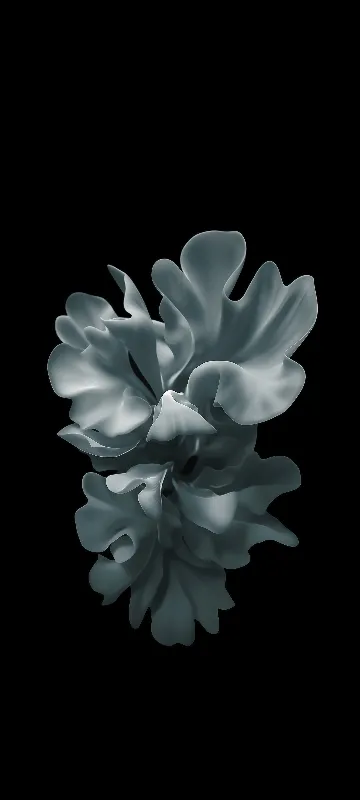 Elegant white flower dark wallpaper
