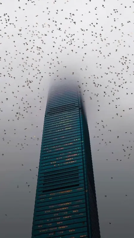 High sky building full hd wallpaper