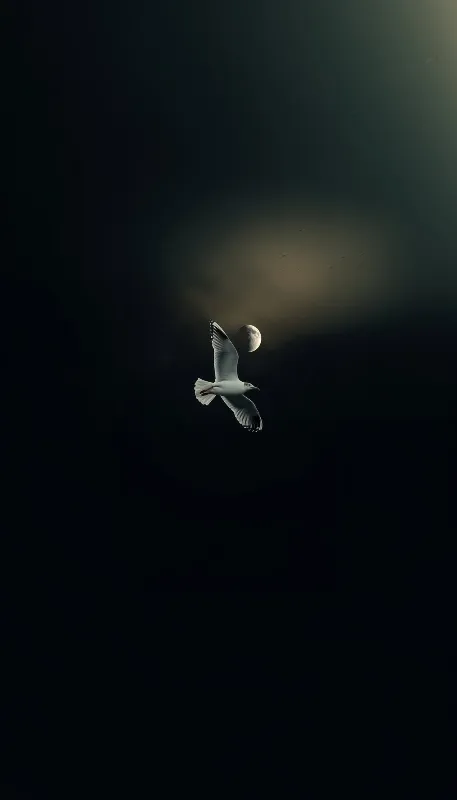 Aesthetic dark iphone full hd wallpaper