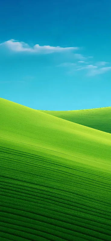 Grass field full hd android wallpaper