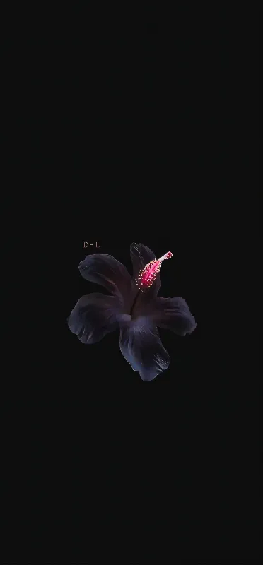 Dark flower full hd android wallpaper