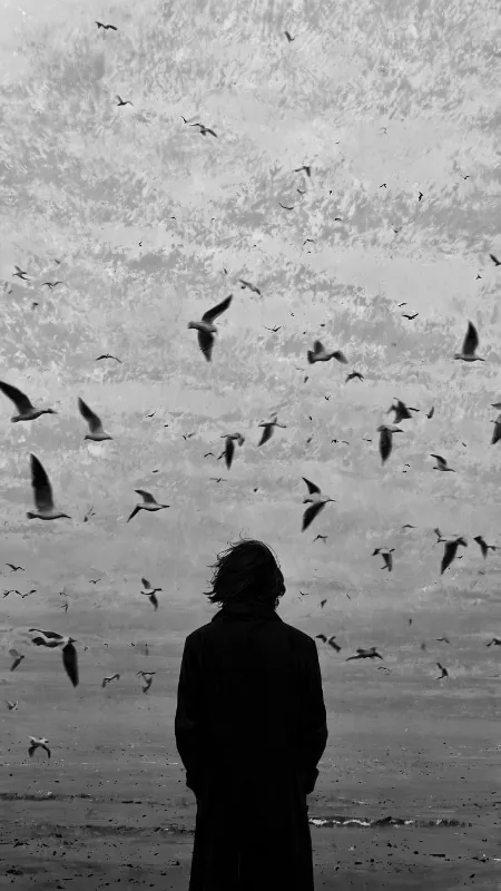 Freedom is silence 