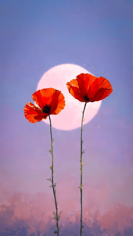 Twin flowers at dusk